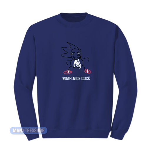 Woah Nice Cock Sonic The Hedgehog Sweatshirt