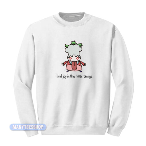 Find Joy In The Little Things Queenie Sweatshirt