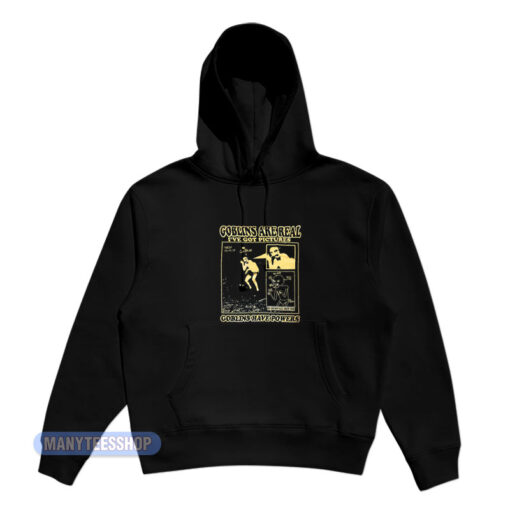 Goblins Are Real I've Got Pictures Hoodie