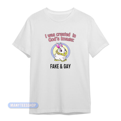 I Was Created In God's Fake And Gay T-Shirt