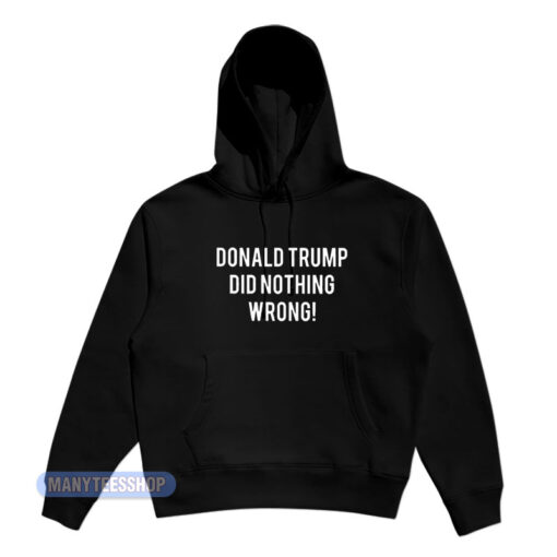 Donald Trump Did Nothing Wrong Hoodie