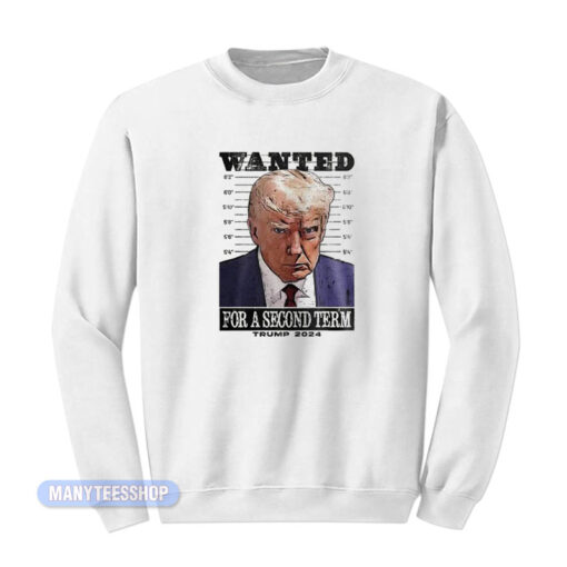 Warning For A Second Term Trump 2024 Sweatshirt