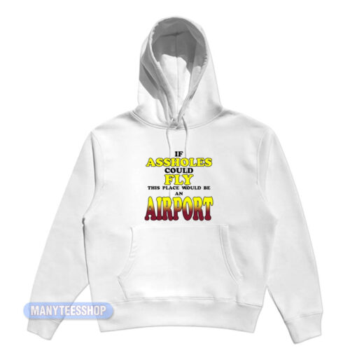 Drake If Assholes Could Fly Hoodie
