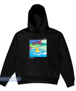 Placid Being Placid Hoodie