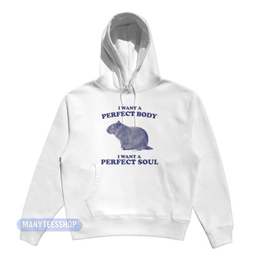 Capybara I Want A Perfect Body I Want A Perfect Soul Hoodie