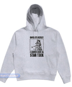 Omg It's R2D2 I Loved Him In Star Trek Hoodie