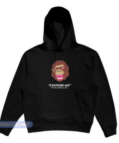 Bape A Bathing Ape Ape Shall Never Kill Ape Hoodie
